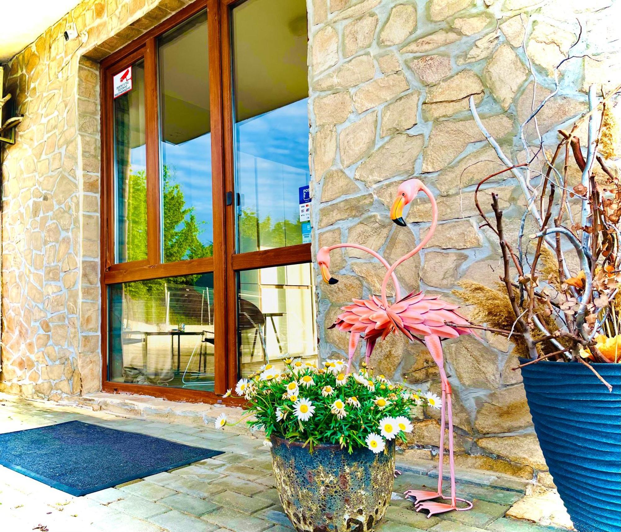 סוזופול Stefaniya Apartments מראה חיצוני תמונה